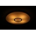 DALEN Inteligentne oświetlenie sufitowe LED DL-C309T